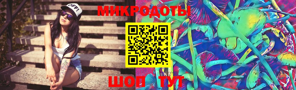 Псилоцибиновые грибы мицелий Химки